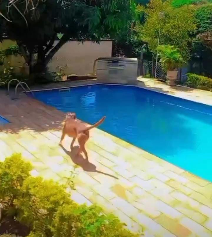 Casa Com Piscina - Itupeva Villa Bagian luar foto